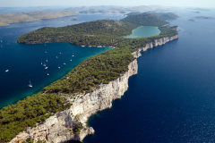 Telascica